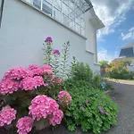 Bookingalsace - Maison Mittelharth Parking Jardin * Colmar