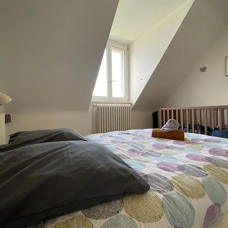 Bookingalsace - Maison Mittelharth Parking Jardin * Colmar