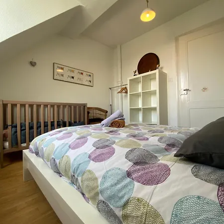Bookingalsace - Maison Mittelharth Parking Jardin Feriehus