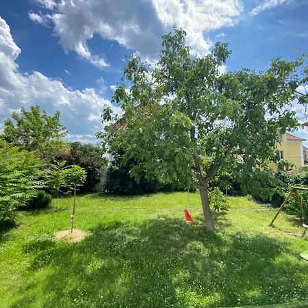 Vakantiehuis Bookingalsace - Maison Mittelharth Parking Jardin *