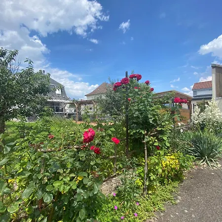 Bookingalsace - Maison Mittelharth Parking Jardin Feriehus Colmar