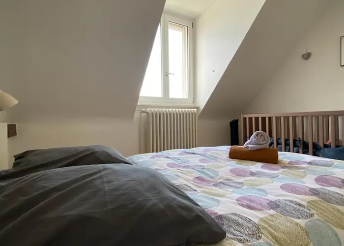 Bookingalsace - Maison Mittelharth Parking Jardin * Colmar