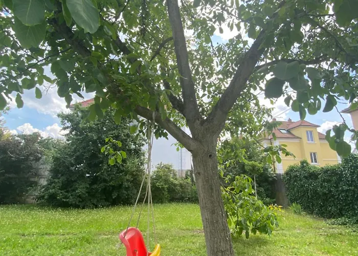 Bookingalsace - Maison Mittelharth Parking Jardin Сasa de vacaciones *