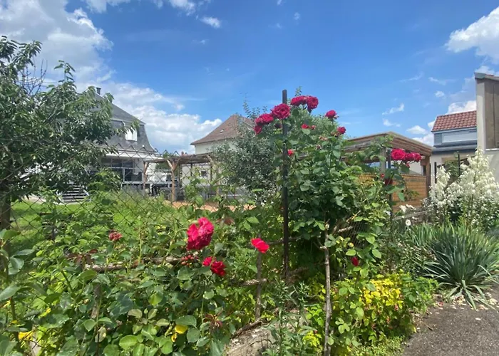 Bookingalsace - Maison Mittelharth Parking Jardin Holiday home Colmar