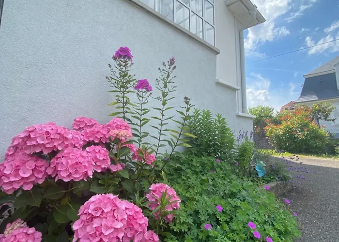 Bookingalsace - Maison Mittelharth Parking Jardin * Colmar